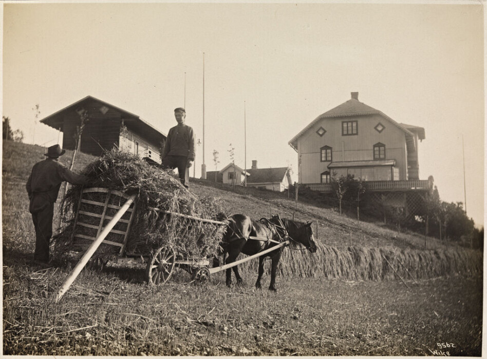Farming was hard work in Norway and women’s contribution was valued. This photo is from Gausdal, Norway in 1908.