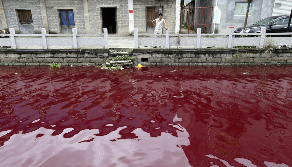 This is what water can look like when dyes end up in the wrong place — the picture shows a river in China that has turned red after a few buckets of red dye were left on the river bank.