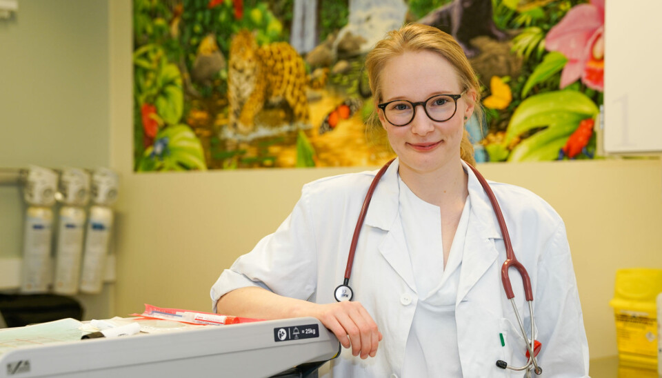 Coronaviruses tend to mutate into a fairly harmless virus, according to the opinion of PhD candidate Inger Heimdal following her study of the four common coronaviruses already in existence before the pandemic.