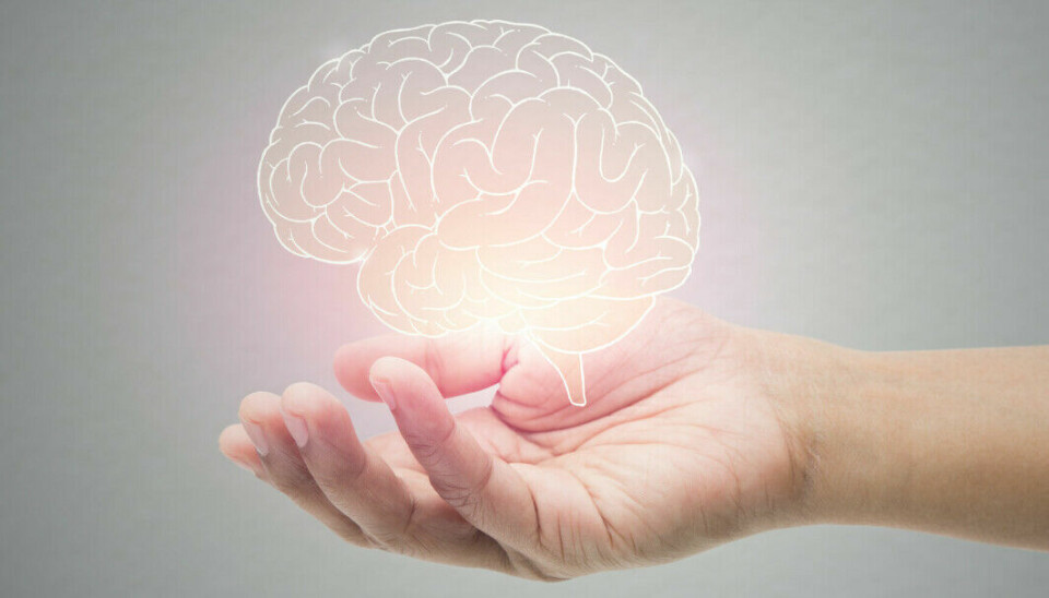 New study shows what it takes for us to take brain health seriously.