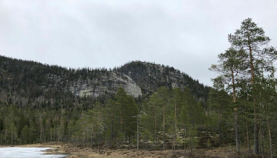 Tjuvenborgen (which translates roughly as the Thief’s Fortress) is in a steep and inaccessible location in the Ådals mountains in Ringerike municipality. This is one of many hill forts described in legends and stories.