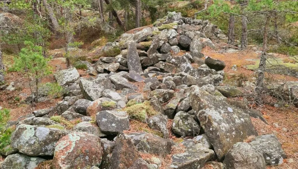 A defensive wall on Slottsfjellet (Castle Mountain) south in Fredrikstad municipality. The Viken County Municipality has recently been working on recording new occurrences of the county's many hill forts, which has led to the identification of previously unknown ruins.