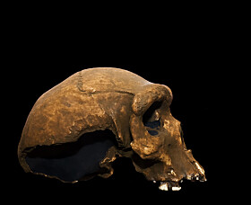 Why didn't our ancient ancestors get cavities?