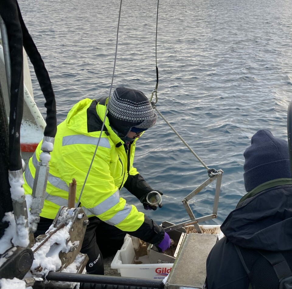 Ida Beathe Øverjordet takes samples as part of her work studying where and how pharmaceuticals are found in the Arctic.