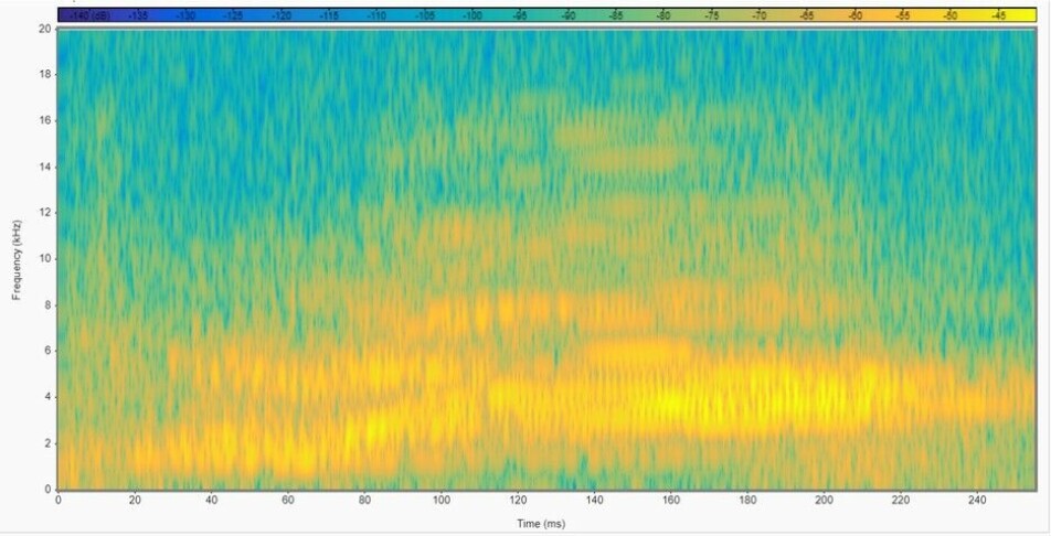 This spectogram shows a pig expressing positive emotions.