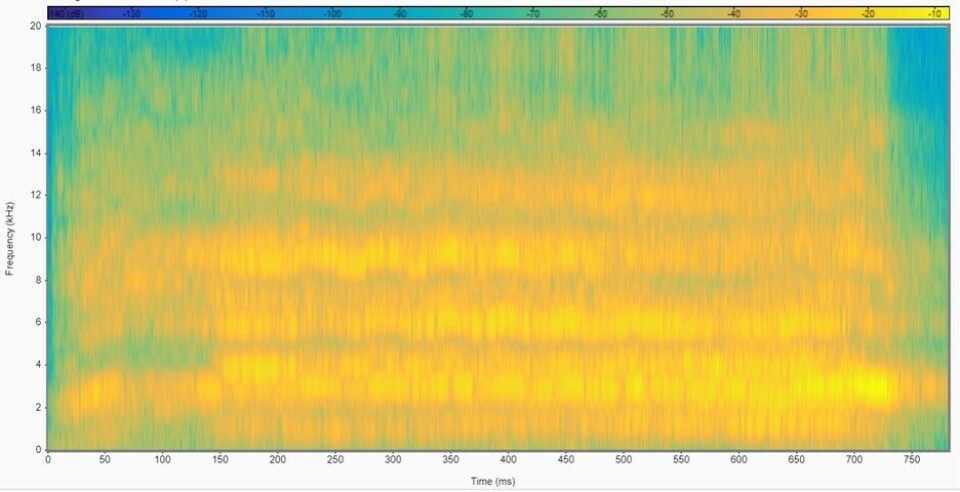 This spectogram shows a pig expressing negative emotions.