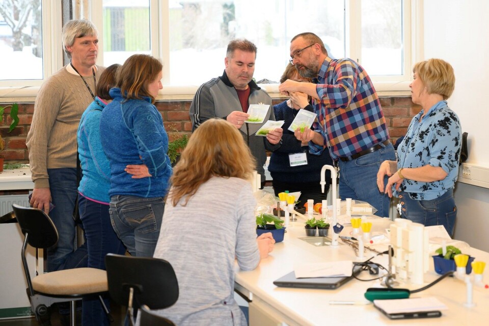 Dag-Ragnar Blystad demonstrating TOSPO-virus detection to importers of plants in NIBIO, Norway.