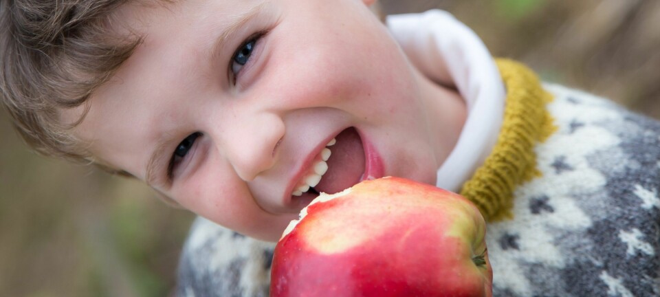 The sense of apples as part of cultural identity