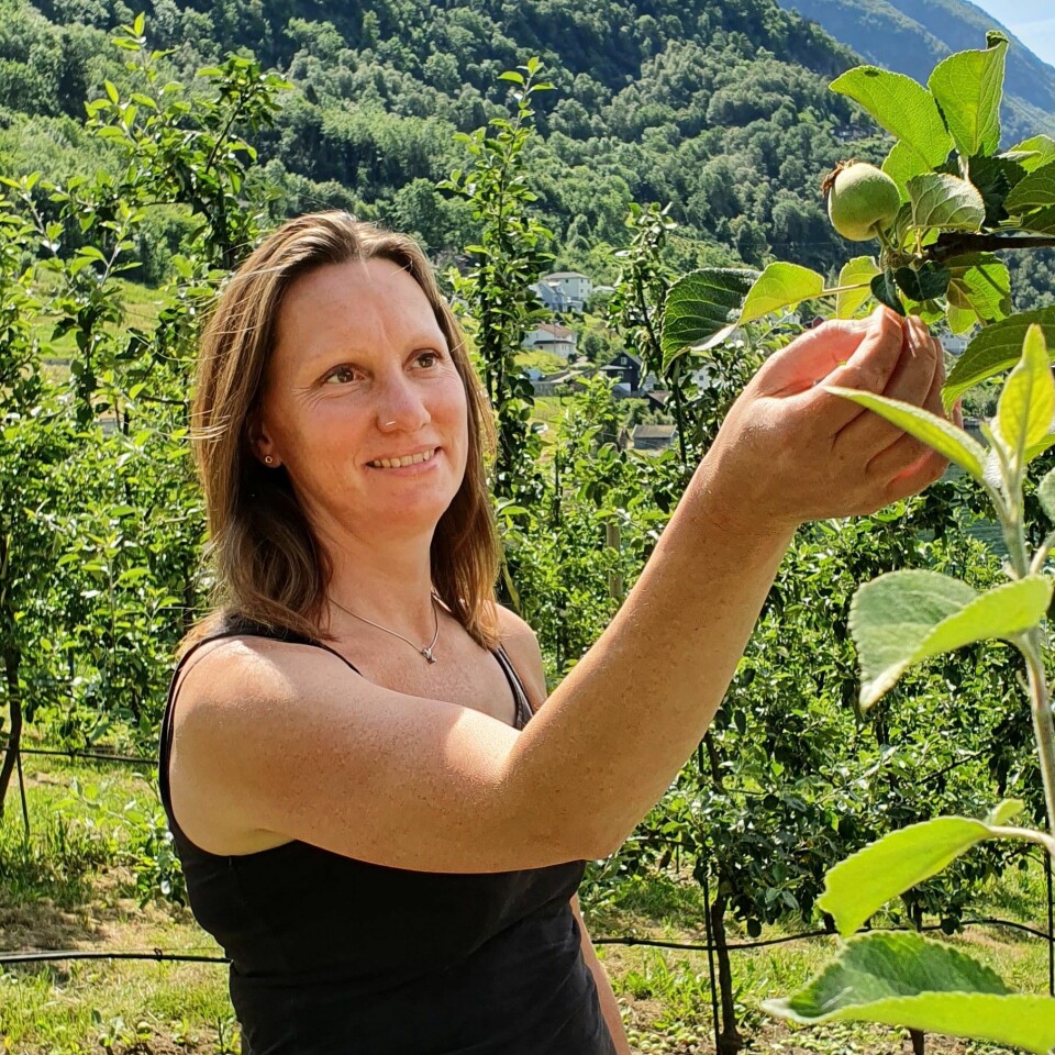 NIBIO-researcher and Norwegian project manager, Ingunn Øvsthus.