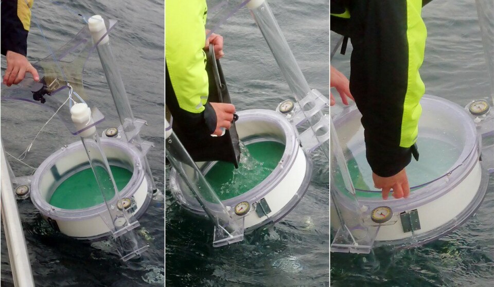 The drifting chambers are designed to allow the fish larvae to drift and swim freely, while sensors and cameras register their behaviour.