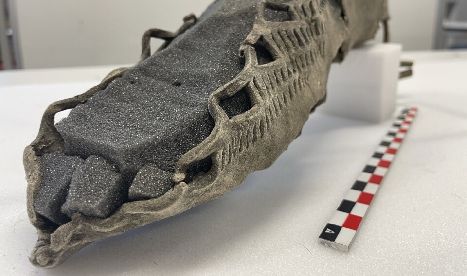 Why was this flimsy Roman-looking sandal buried beneath the snow in an ancient, dangerous Norwegian mountain pass?