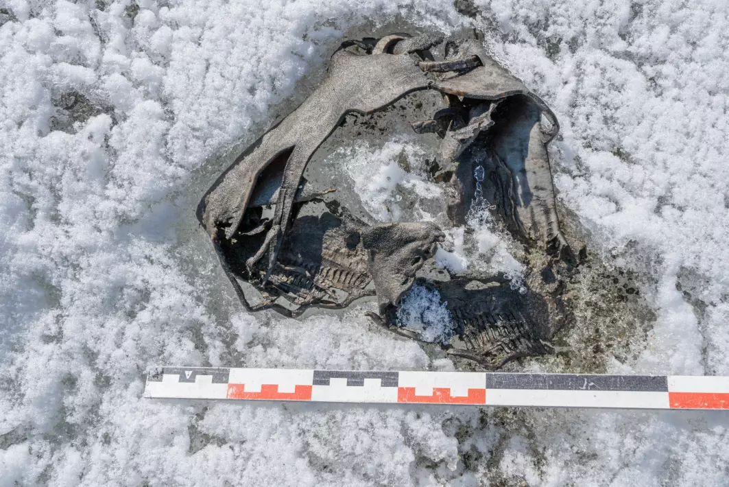 "We have found quite a number of shoes in the ice, from the Early Bronze Age to the Medieval period," <a href="https://twitter.com/GlacialArchaeo1/status/1512428749874241540" aria-label="">glacial archaeologist Lars Pilø tweeted</a> about the Horse Ice Patch shoe. "Why did people lose their footwear in the snow? They probably didn’t - the shoes are worn out and probably thrown away as rubbish. Well, we don’t think this shoe is rubbish."