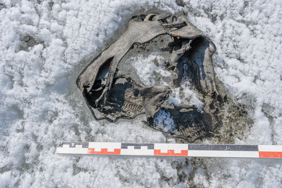 'We have found quite a number of shoes in the ice, from the Early Bronze Age to the Medieval period,' glacial archaeologist Lars Pilø tweeted about the Horse Ice Patch shoe. 'Why did people lose their footwear in the snow? They probably didn’t - the shoes are worn out and probably thrown away as rubbish. Well, we don’t think this shoe is rubbish.'