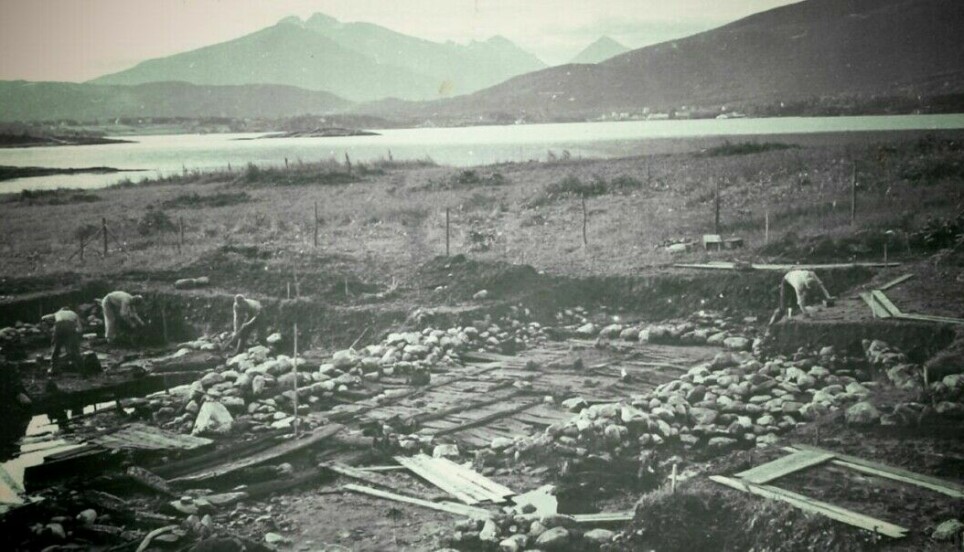 This picture shows the excavation in 1954. The Borgund fjord can be seen in the background. The site was excavated also in the 1960s and 1970s, as well as smaller excavations more recently. In total there have been 31 archaeological field seasons at Borgund, the archaeologists write on their project page.