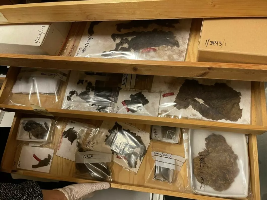 The museum basement has drawers upon drawers with remains of textiles from perhaps a thousand years ago. They can tell us more about what kind of clothes people in Norway wore during the Viking Age and the Middle Ages.