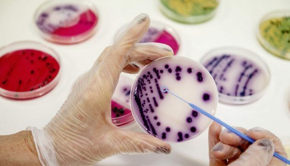 Recent Nofima research in the CtrlAQUA Intake project 'Strategies for water treatment in closed-containment aquaculture' shows that there is a lot of gain from adapting the dose to the pathogen one is dealing with.