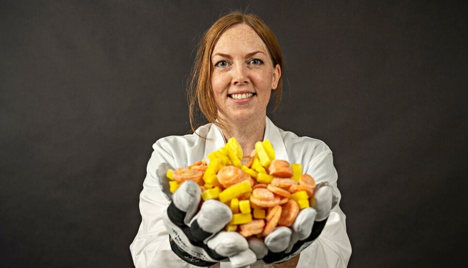 Among other things, scientist Sidsel Fiskaa Hagen has investigated the nutritional content of frozen carrot and yellow beetroot.