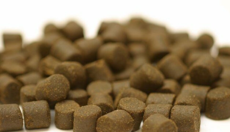 New feed ingredients such as insect meal, single cell protein, fermented products and microalgae were found in the latest report.