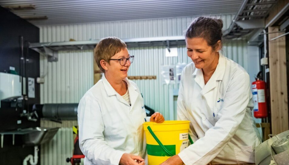 Senior scientists Trine Ytrestøyl (left) and Turid Synnøve Aas (right) in Nofima are among the authors of the report.