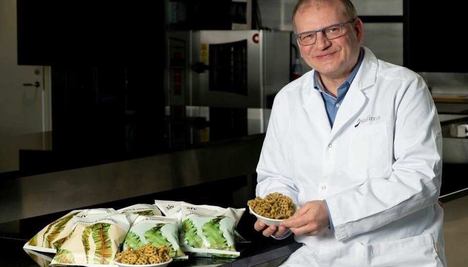 Snack product of kelp from Sjy. Stian Gjerstad Iversen and Dagbjørn Skipnes in Nofima have contributed to the development of the product.