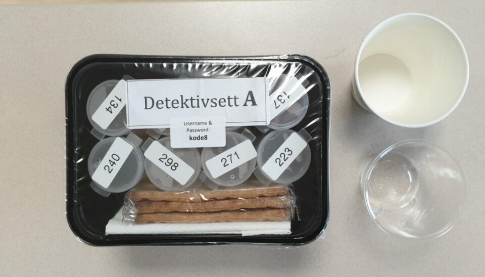 Ervina developed the digital game 'Taste Detective' to engage and keep the kids attention during the tests.