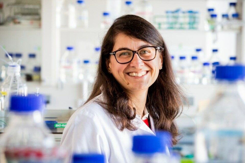 Sabina Leanti La Rosa