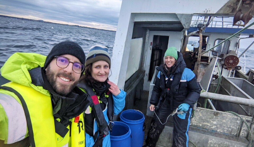 Fishing for sandeel, from left: Alessandro Cresci, Caroline Durif and Elin Sørhus.