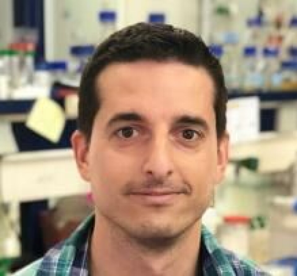 David Peris, Researcher at the Department of Biosciences at the University of Oslo.