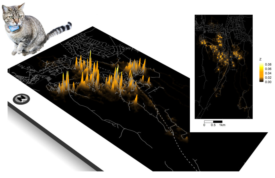 The illustration shows the cats' use of the landscape. The higher the peaks and the lighter the yellow colour, the more intensively the cats use the area.