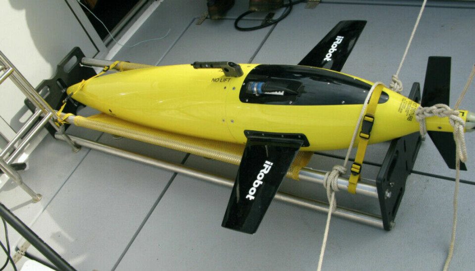 A glider: Researchers continually send gliders like this to make measurements along the Svinøy section in northwestern Norway. The gliders travel 500 kilometres northwest into the sea, before turning and returning again. The gliders can operate alone for over 10 months at a time. Outside Stadt, the Gulf Stream is closest to land, so it makes sense to measure the current here. The gliders have made millions of measurements of the Gulf Stream along the Svinøy Section. Read more here at Glidarprosjektet (in Norwegian).
