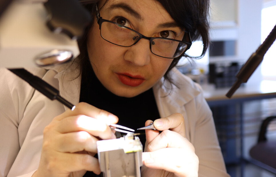 After five years of research, Charlotte Boccara and her group of scientists have now made a breakthrough.