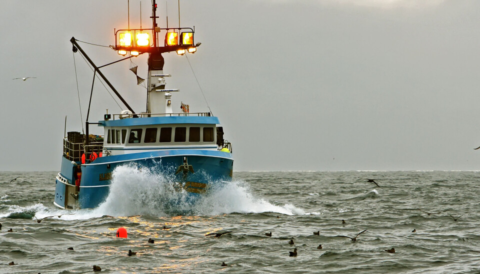 The fishing industry in both Troms and Finnmark is growing, but the increase is not evenly distributed in the areas.