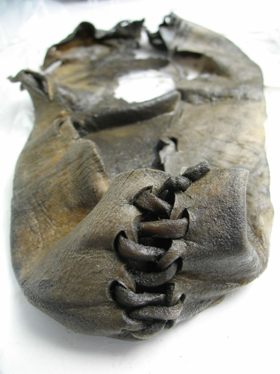 Bronze Age shoes from Langfonne in Jotunheimen.