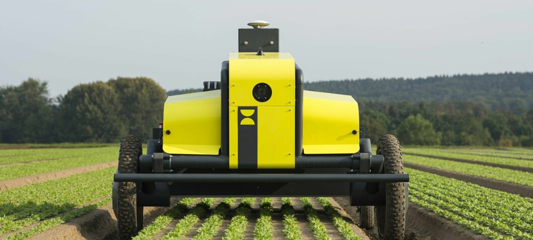 Robots ensure more and better vegetables to eat with fewer toxins to harm the environment