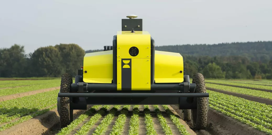 Robots ensure more and better vegetables to eat with fewer toxins to harm the environment