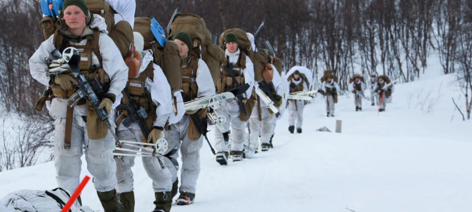 What kind of food is best for soldiers?