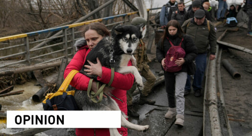 Ukraine: How can we protect animals when we can’t even protect humans?