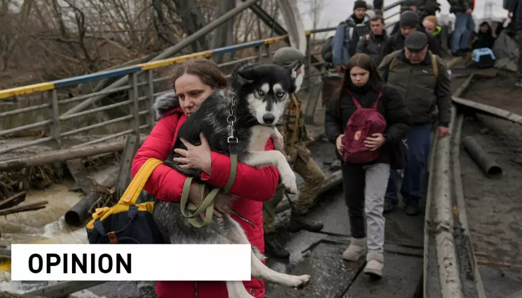 A woman holds a dog while crossing the Irpin River on an improvised path under a bridge as people flee the town of Irpin, Ukraine, Saturday, March 5, 2022. More than half of the world’s households are thought to contain at least one companion animal. It's necessary to make humanitarian policies for pets, writes Professor of law Kristin Bergtora Sandvik.