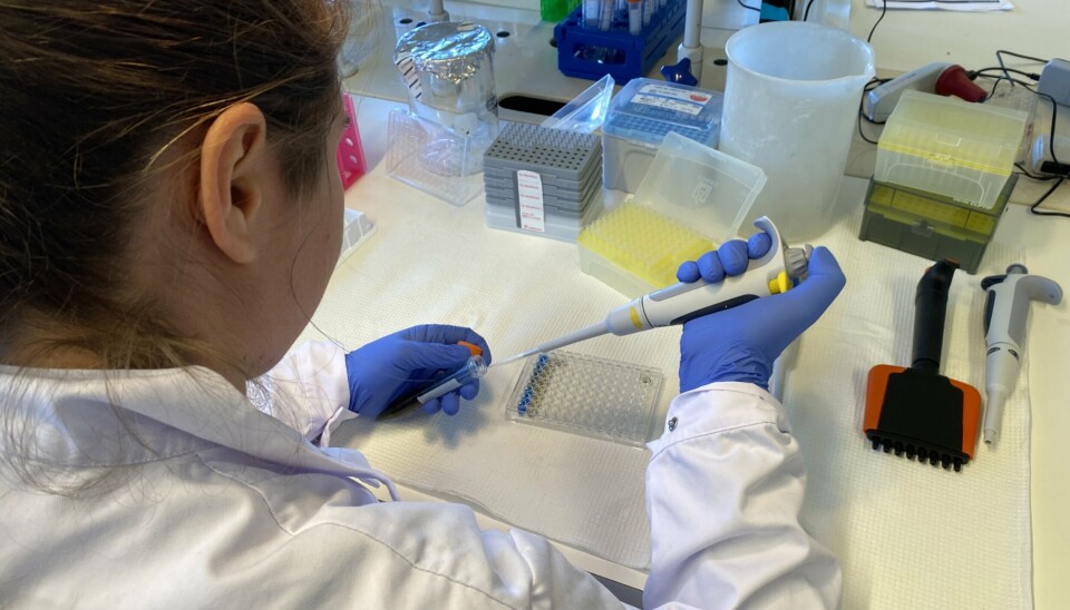 'We believe that environmental pollutants play a role in triggering the onset of type 1 diabetes,” sas PhD student Sophie E. Bresson.
