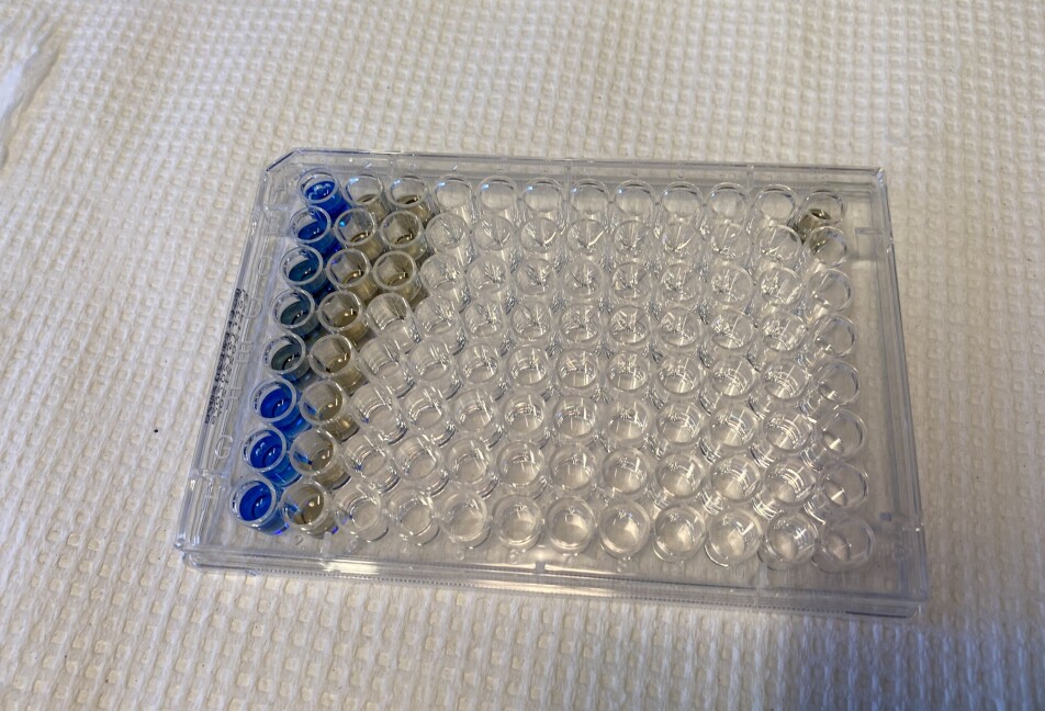 Blue colour means a cell that is producing insulin. The brown colour indicates that the cell has been exposed to pollutants and is producing much less insulin.