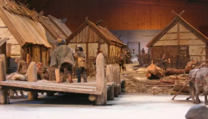 In Viking times, the black rat was found in a number of cities in the Nordic countries. The photo shows a model of the Swedish Viking city of Birka, where traces of the black rat have been found.