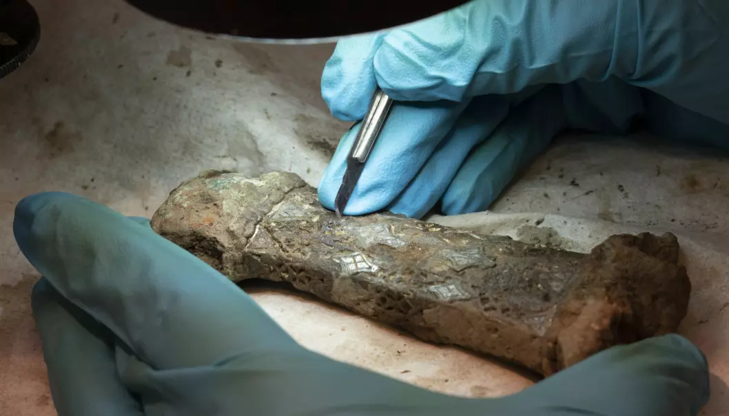 The two parts of the recently found Viking Age sword are currently undergoing conservation at the University of Stavanger.