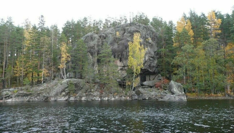 This cliff – called the sleeping giant – is located by a Finnish lake and is a typical example of what Gjerde says he has now observed in many places in Sweden, Finland and Norway.