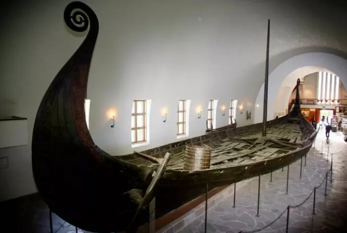 With her on board the Oseberg ship, the queen had many expensive grave goods - and a bucket full of wild crab apples.