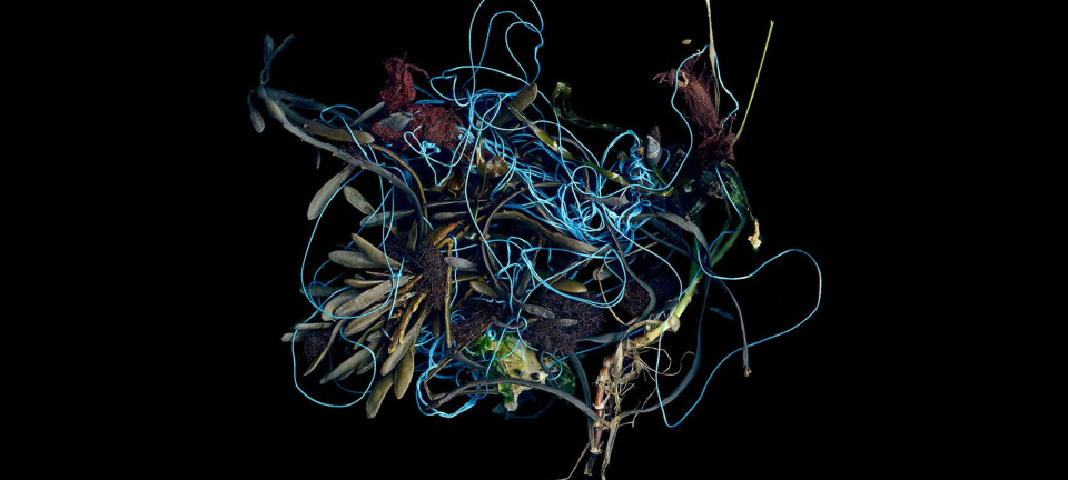 Linking art and research to disseminate knowledge on plastic pollution