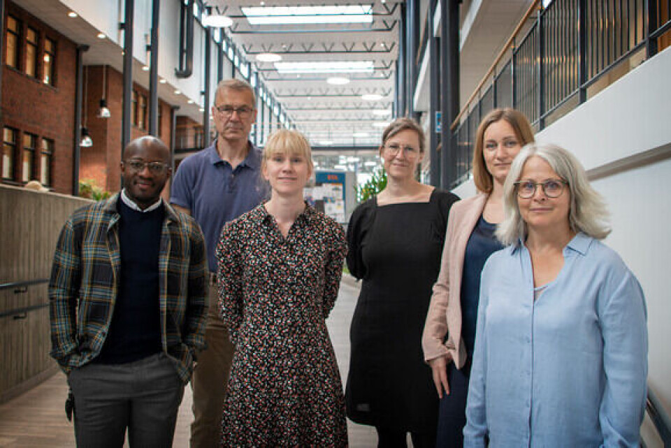 Some of those involved in InnArbeid. From left: PhD research fellow Mugula Chris Safari, professor Carl Erik Moe, associate professor Sofie Wass, associate professor Lise Amy Hansen, associate professor Elisabeth Hole-Rabbersvik and professor Elin Thygesen.