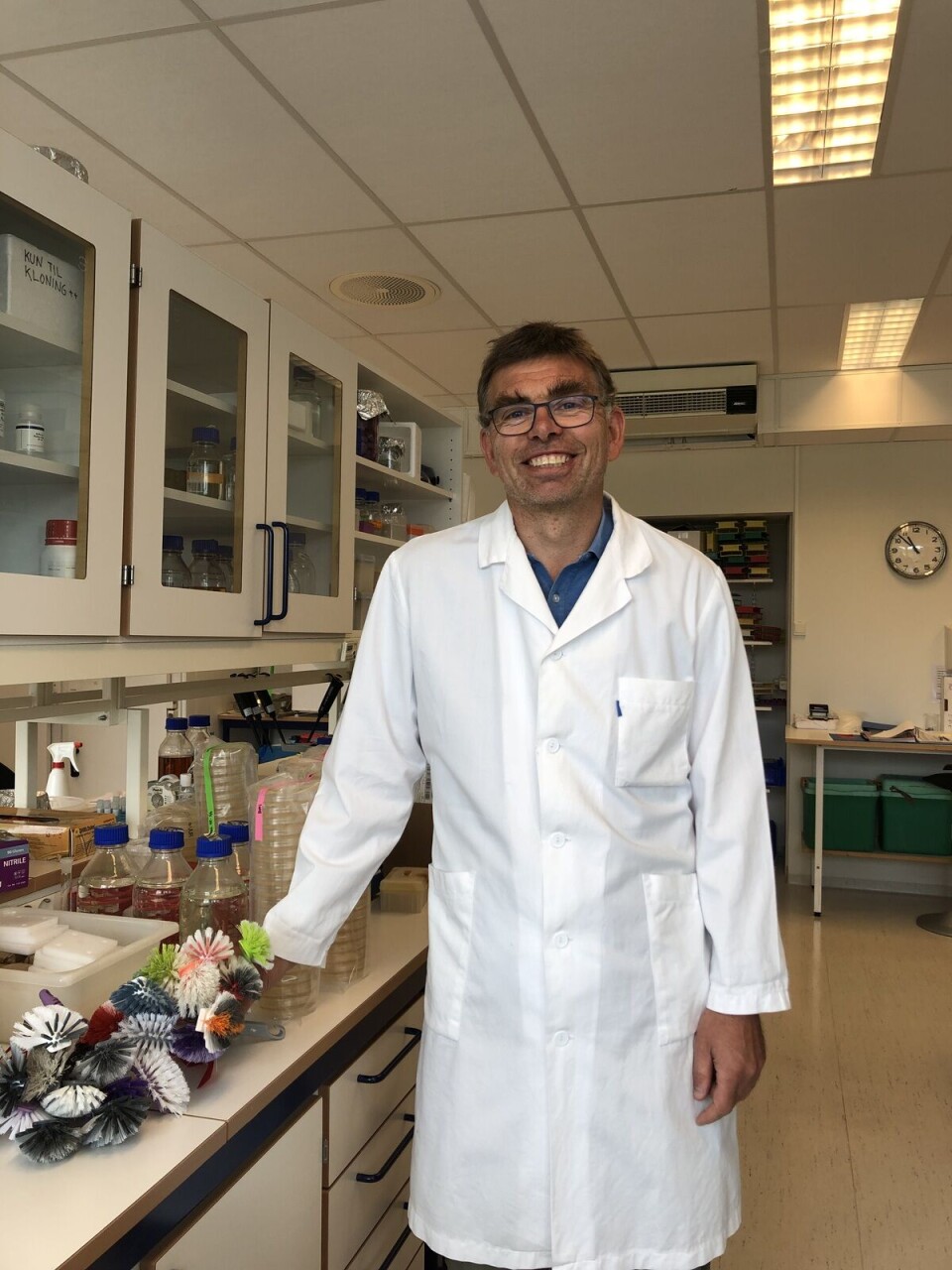 Nofima scientist Trond Møretrø is responsible for these studies on the relations between kitchen hygiene, sponges and brushes, and the main author of the scientific publications.