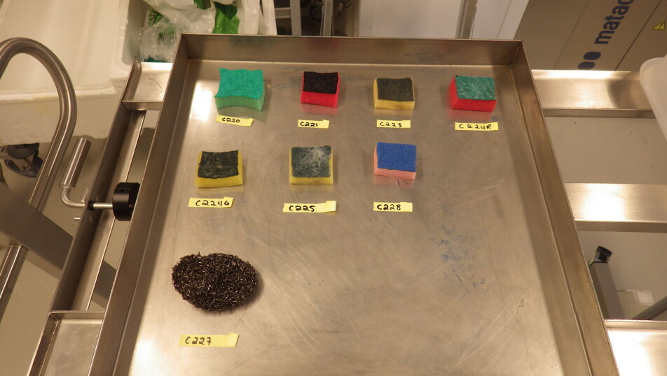 During the project, researchers tested several different types of sponges.