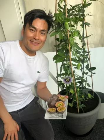 Evandro F. Fang is passionate about passion fruit. He studies the effect of components found in the fruit on Alzheimer's disease, and he grows them on his balcony.
