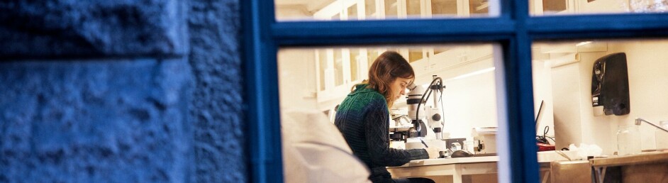 Blog: Natural Histories
